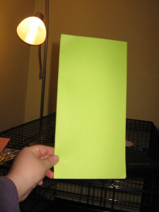 Fold the piece of paper to form a card. 