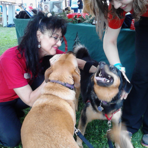 Brenda from Camp Bow Wow is a long-time networking friend of mine and was pleased to say hi to the girls. They loved it (including the treats)!