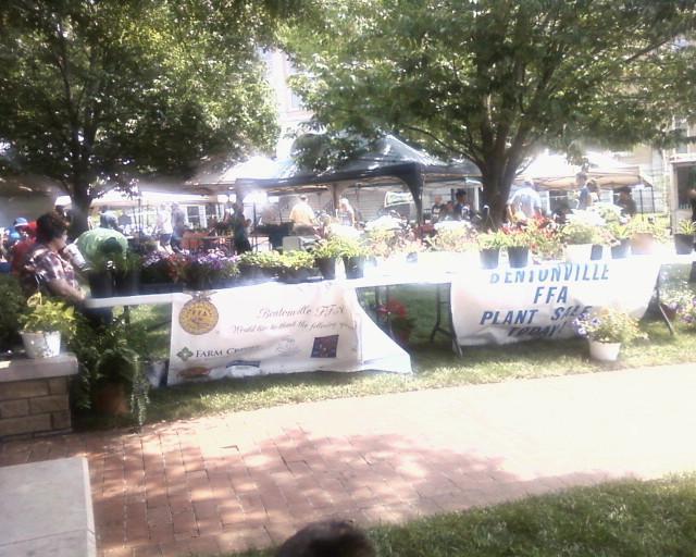 There's lots of flowers selling right now at the Farmers Market. 