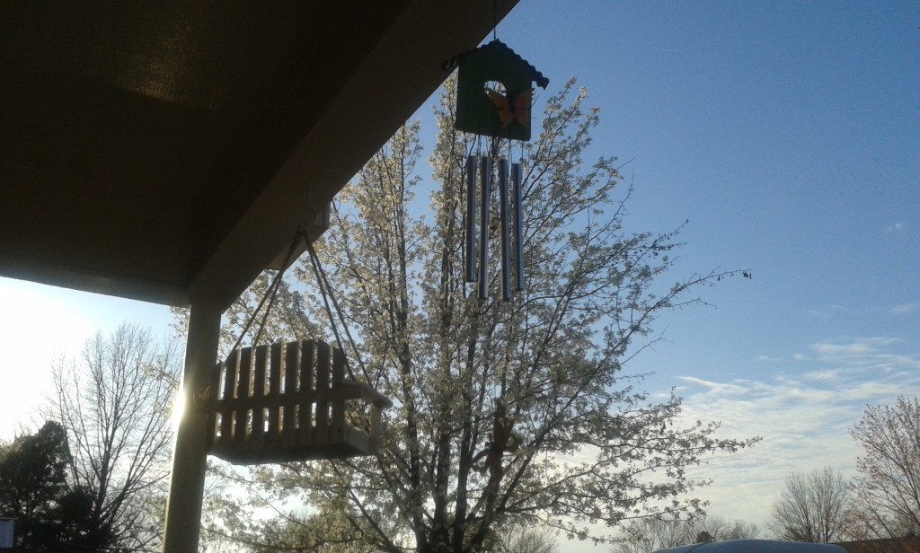 You can't see them well, but we now have a butterfly wind chime and a bird feeder that looks like a porch swing hanging from our porch. 
