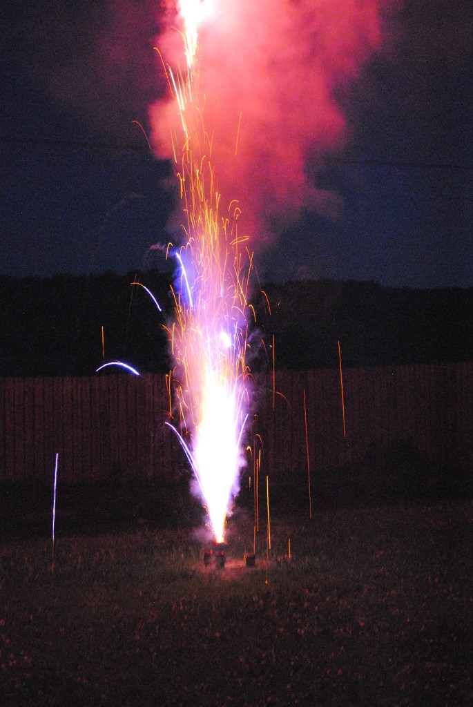This was one of my favorite of the "shooting" fireworks. So pretty! 