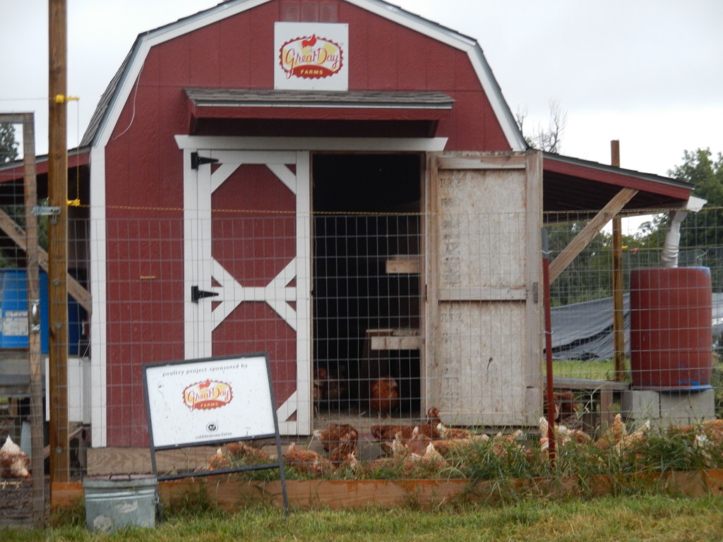 Isn't the Great Day Farms chicken coop at The Farm cute? 