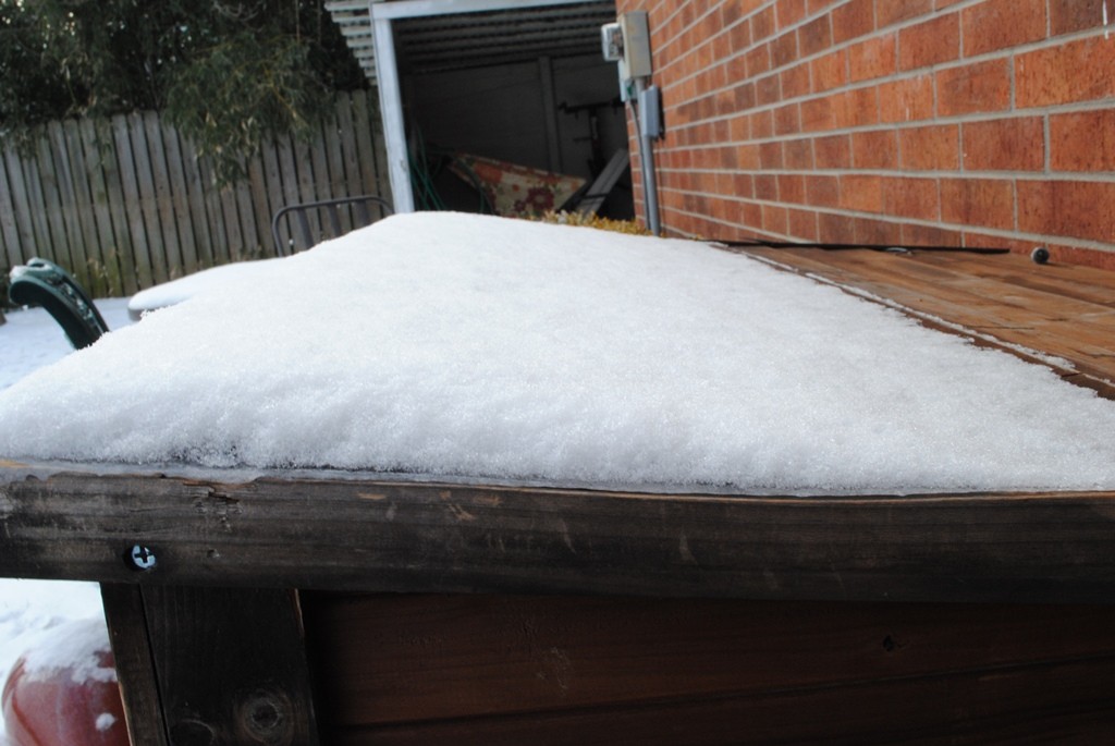The top of the dog house. We obviously got very little snow. 