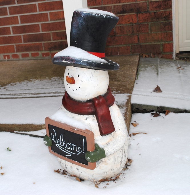 The only snowman you'll find in my yard! Brrr! 