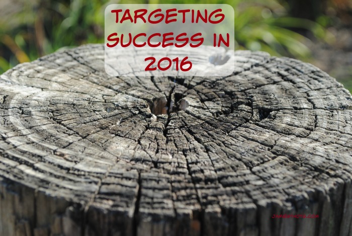 Target success 2016